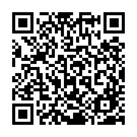 QR code for 393 UDD
