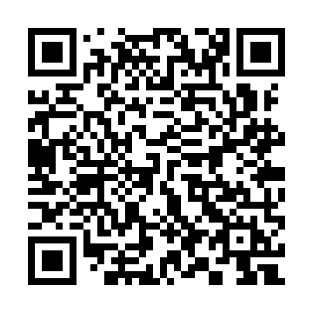 QR code for 393 YMH