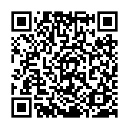 QR code for plate 393 2RS