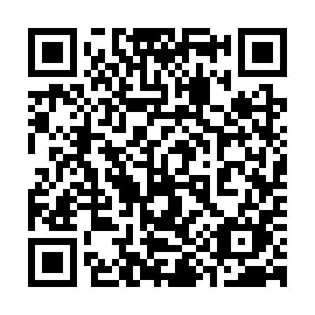 QR code for plate 393 3PM