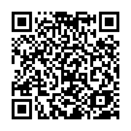 QR code for 393ACE