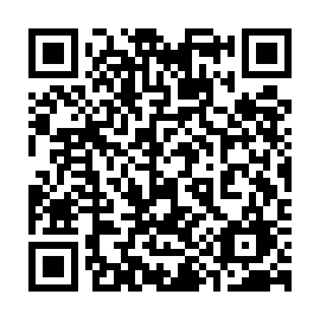QR code for 393ECG