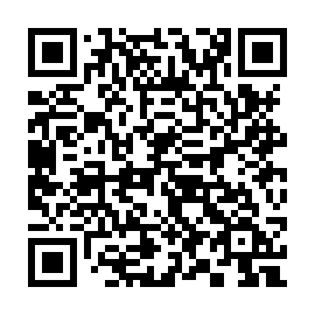 QR code for 393HSF
