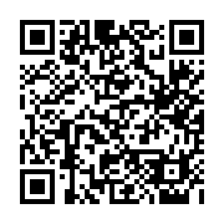 QR code for 393NSB