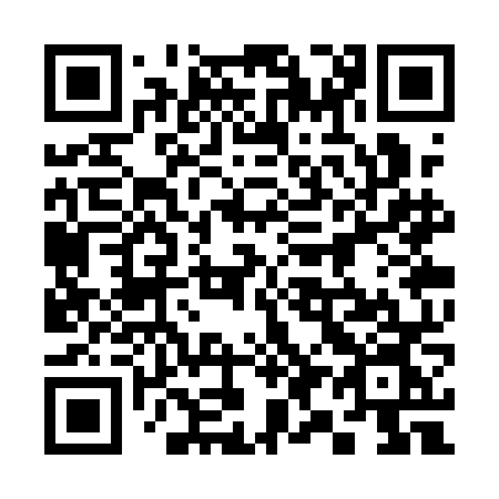 QR code for plate 393 QNN