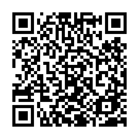 QR code for 394 DDE