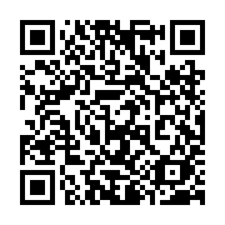 QR code for plate 394 CIK