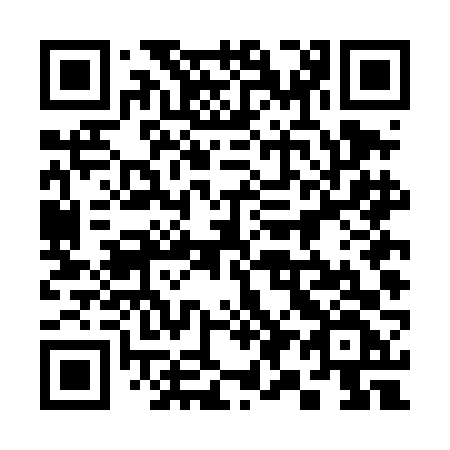 QR code for plate 394 DFF