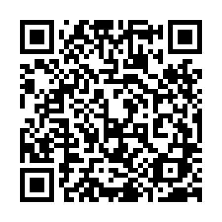 QR code for 395LLI