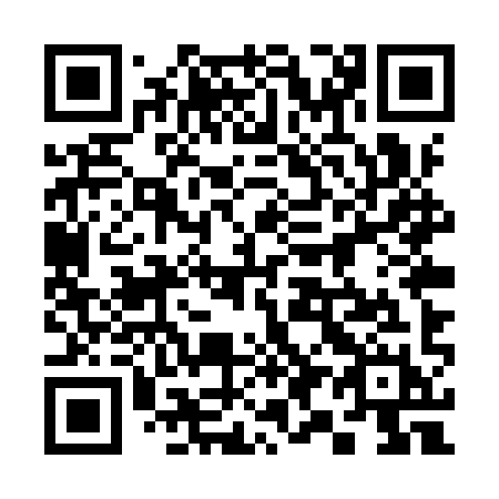 QR code for plate 395 YYH