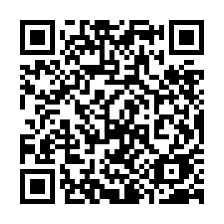 QR code for 395ZAE