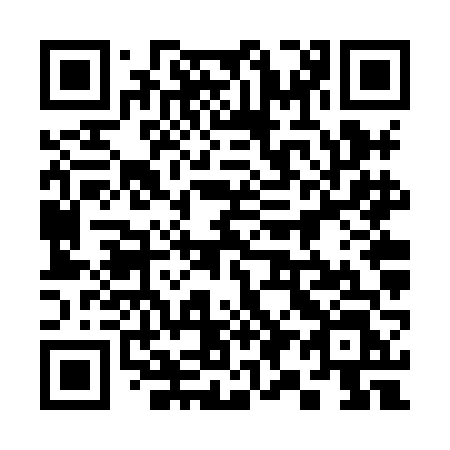 QR code for plate 396 XFL