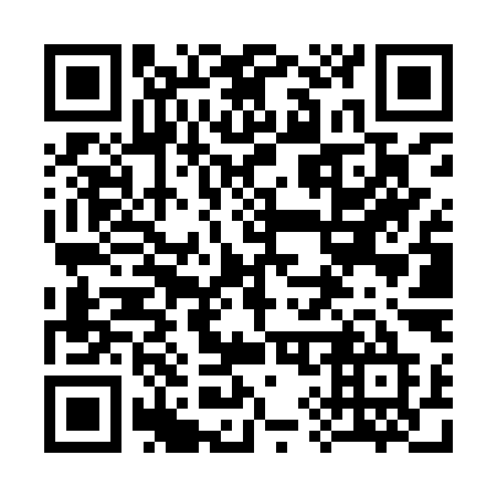 QR code for plate 396 YYE