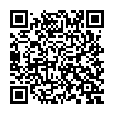 QR code for plate 397 1XC