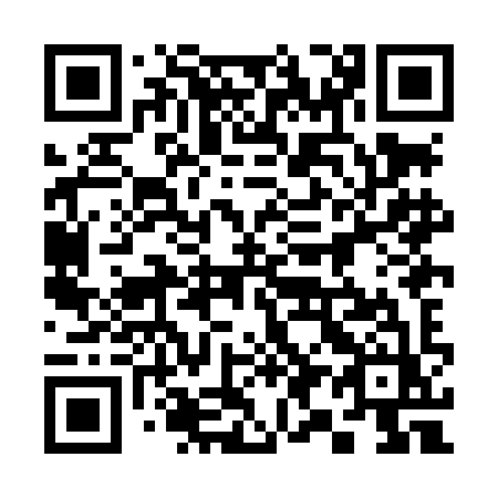 QR code for 398 LIZ
