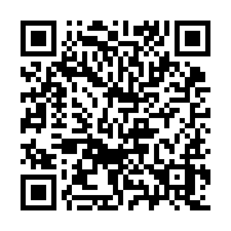 QR code for 399 KIZ