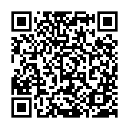 QR code for 3991NS