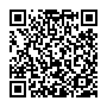 QR code for plate 399 4IP