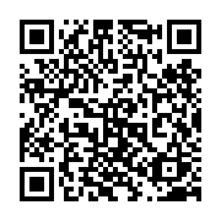 QR code for plate 407 TKS