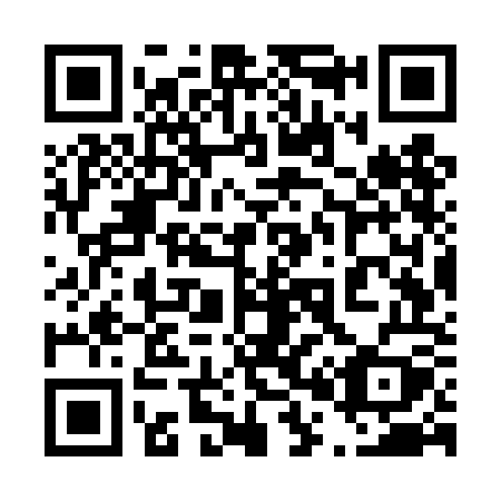 QR code for 407TOY