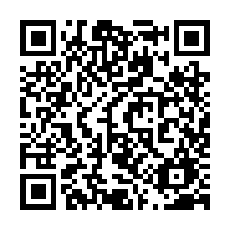 QR code for plate 411 3KG