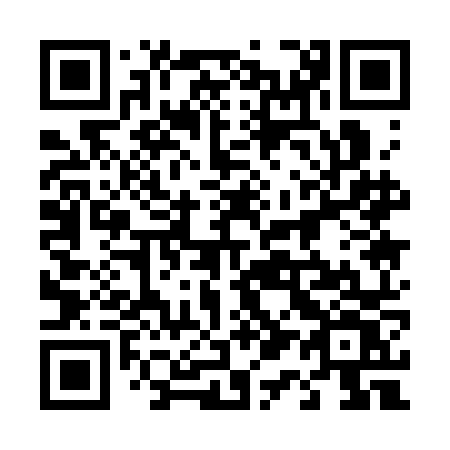 QR code for plate 411 3NV