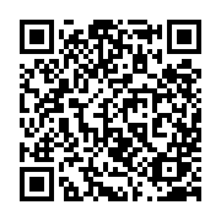 QR code for plate 411 5MS