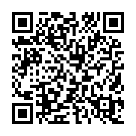 QR code for 4119TI