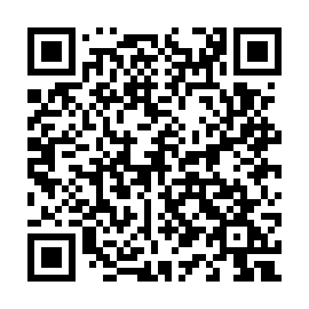 QR code for plate 411 EWG