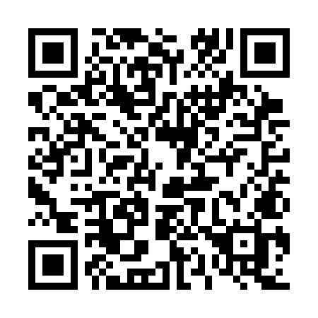 QR code for 411SMH