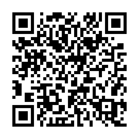 QR code for 411VWC