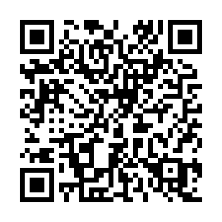 QR code for plate 411 XRB