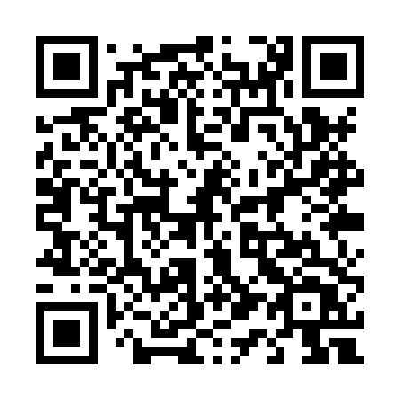 QR code for plate 411 XTT