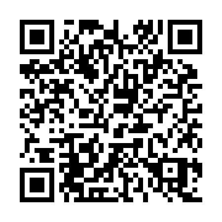 QR code for plate 411 ZJP