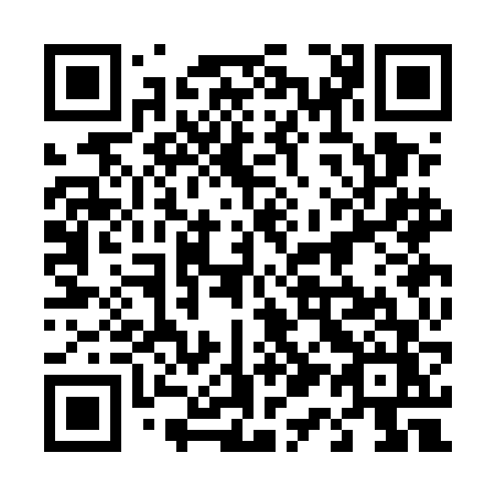 QR code for 413 EFZ
