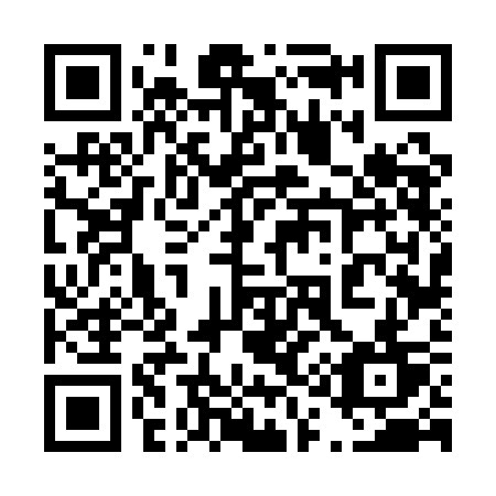 QR code for 4161CT