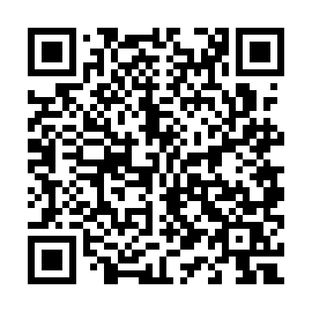 QR code for 4161MS