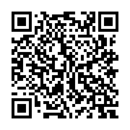 QR code for 419 9DI