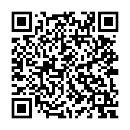 QR code for 419 TYX