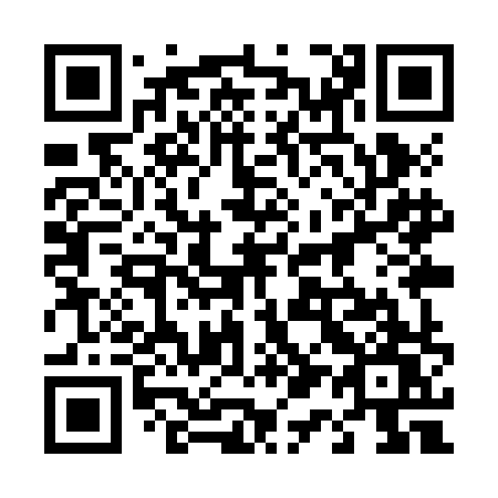 QR code for 419 ZHW