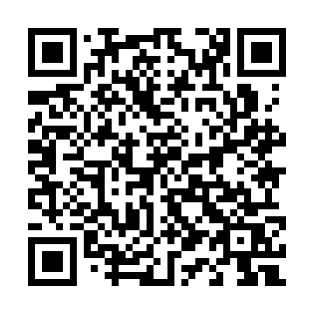 QR code for plate 419 3OS