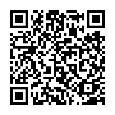 QR code for 4196QQ