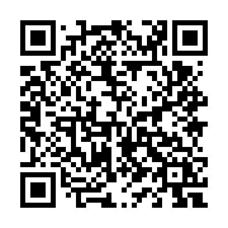QR code for 4196VX