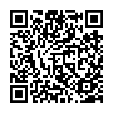 QR code for plate 419 6XP