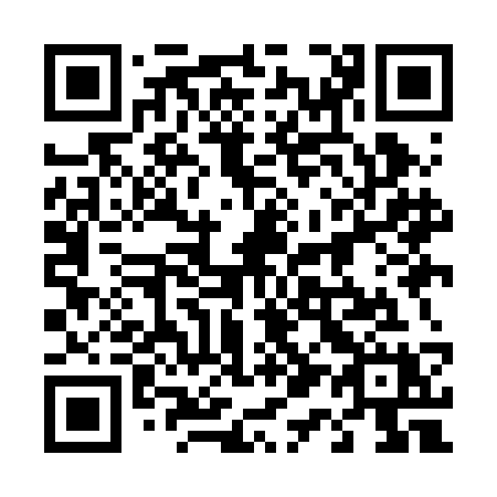 QR code for plate 419 BCX