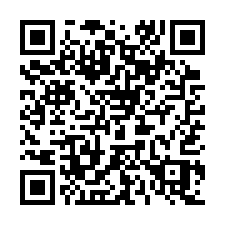 QR code for plate 419 SQS