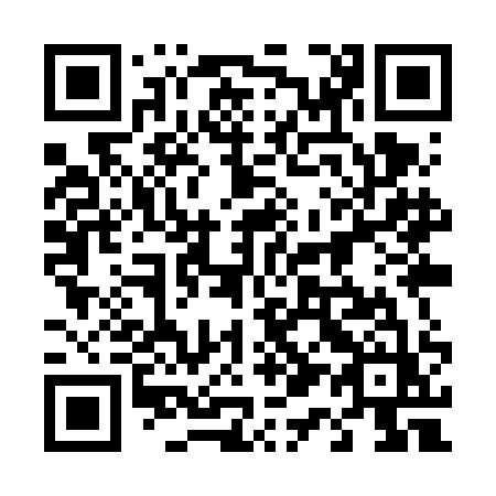 QR code for plate 419 VAZ