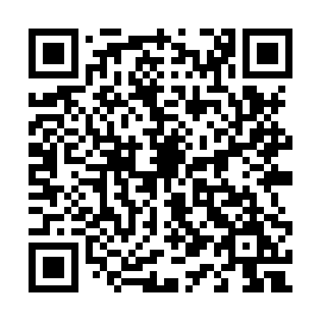 QR code for plate 419 XPM