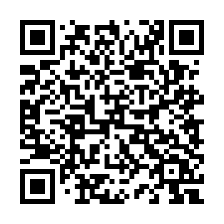 QR code for 4245DT