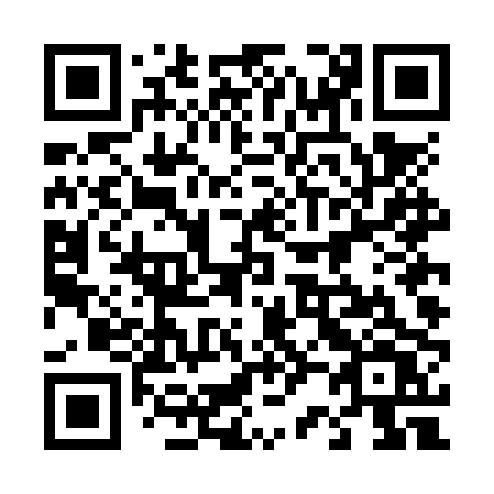 QR code for plate 424 NPV